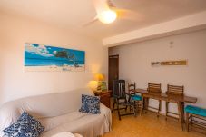 Apartamento en Oliva - MM302