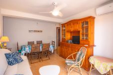 Apartamento en Oliva - MM302