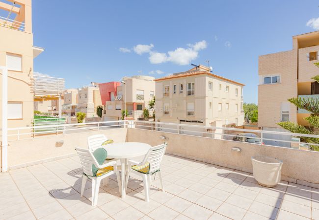 Apartamento en Oliva - P141A