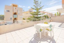 Apartamento en Oliva - P141A