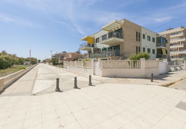 Ferienwohnung in Oliva - AR12B Ferienwohnung in Oliva - AR12B