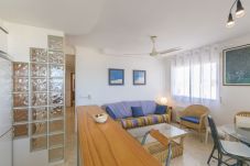 Ferienwohnung in Oliva - P144A