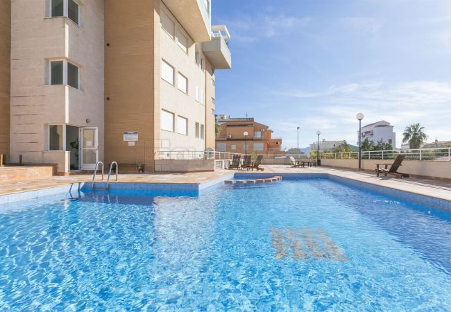 Apartment in Oliva - P144B Apartment in Oliva - P144B