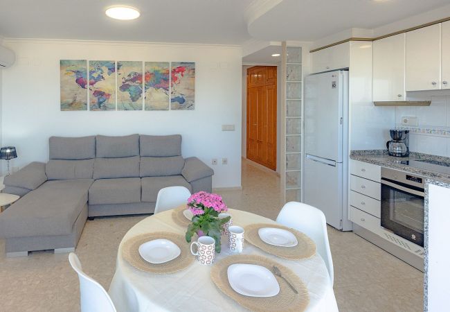 Apartment in Oliva - P144B Apartment in Oliva - P144B