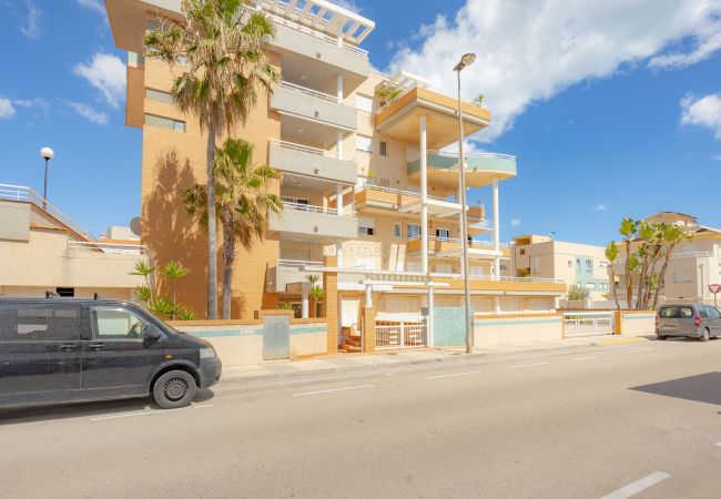 Apartment in Oliva - P144B Apartment in Oliva - P144B