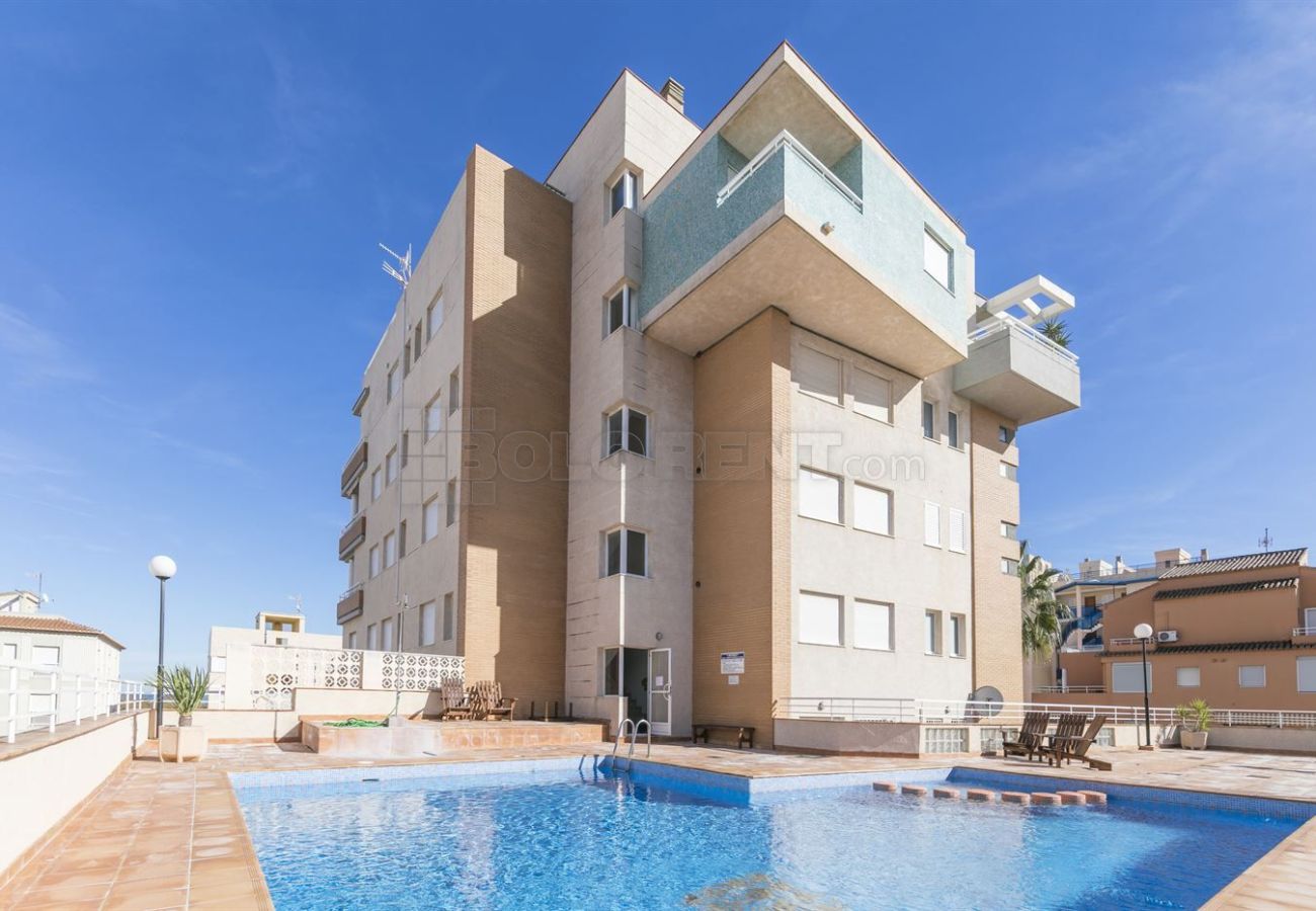 Apartment in Oliva - P144B Apartment in Oliva - P144B