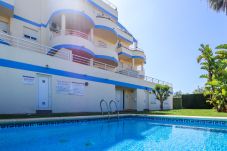 Apartment in Oliva - BA3