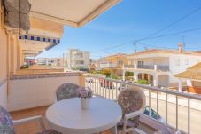 Apartment in Oliva - B241D