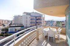 Apartment in Oliva - P063A
