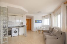 Apartment in Oliva - P064A