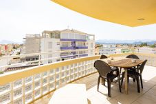 Apartment in Oliva - P064A