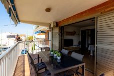 Apartment in Oliva - MM242D