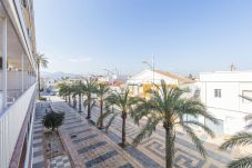 Apartment in Oliva - MM3227