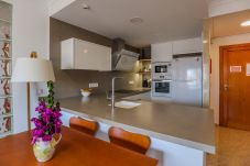 Apartment in Oliva - P144C