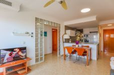 Apartment in Oliva - P144C