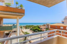 Apartment in Oliva - P144C