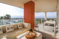 Apartment in Oliva - MA48C62A