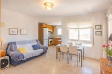 Apartment in Oliva - AV83I