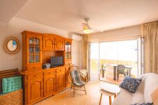 Apartment in Oliva - MM302