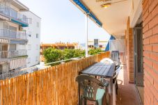 Apartment in Oliva - MM302
