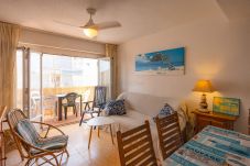 Apartment in Oliva - MM302