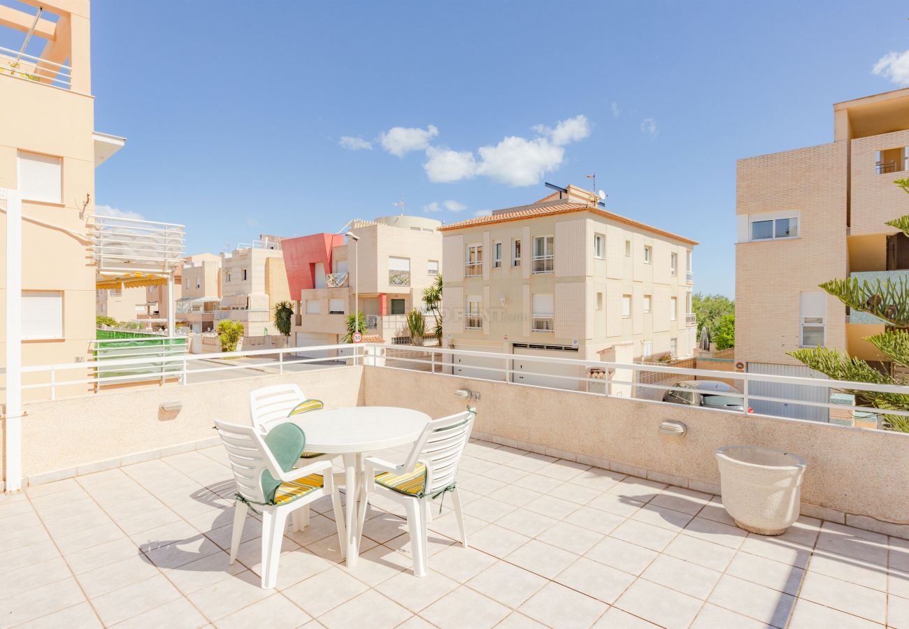 Apartment in Oliva - P141A