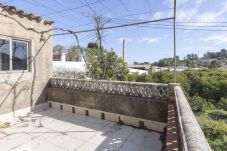 Plot in Oliva - VO4BMI