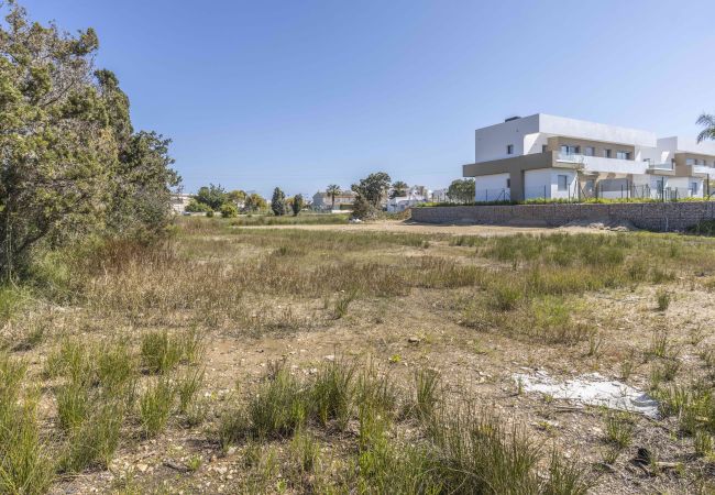 Plot in Oliva - VO4548ON