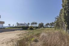 Plot in Oliva - VO4548ON