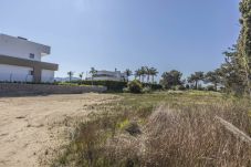 Plot in Oliva - VO4548ON