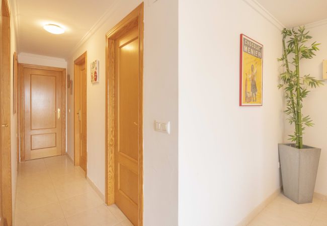 Appartement à Oliva - VO27BAV