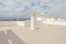 Attico a Oliva - MA262D