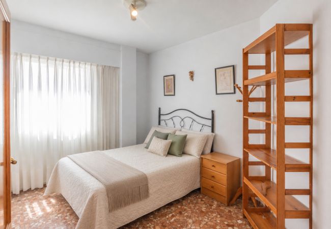 Piatta a Oliva - VO94CBRR