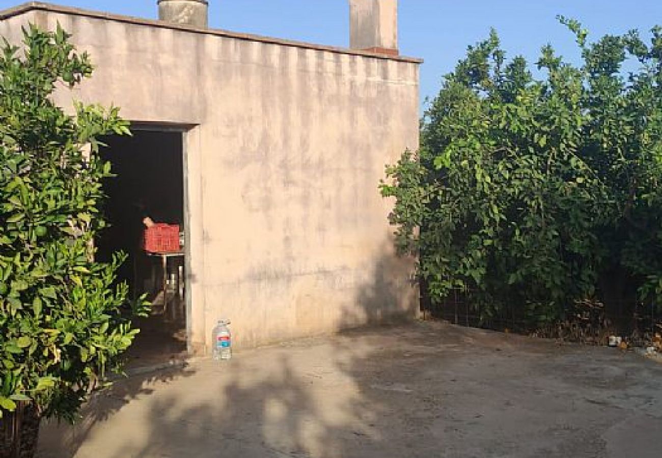 Parcela en Oliva - HUERTO DE NARANJOS XIRICULL